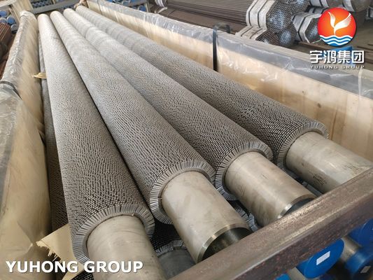 Buy Stainless Steel Serrated Finned Tube High Frequency Welding Wound Spiral Welded For Fired Heater online manufacture