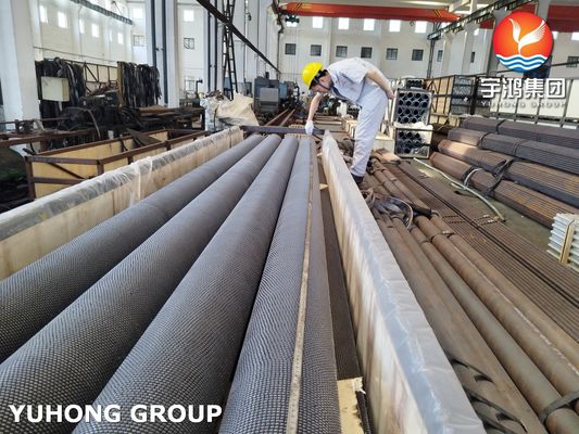 Buy Stainless Steel HFW Serrated Fin Tube ASTM A312 TP304H With SS304 Fin For Furnace online manufacture