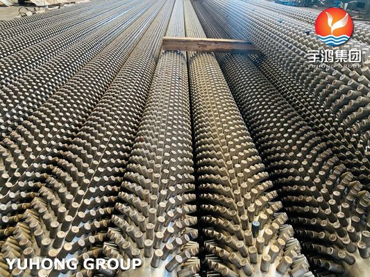 Stainless Steel Seamless Pipe ASTM A312 TP317L with 11Cr Studded Tube , Fired Heater and Furnace Application