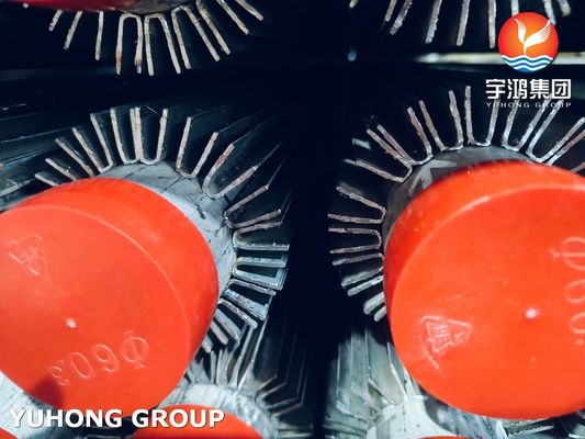 ASTM A213/ ASME SA213 TP316L Longitudinal Finned Tube With SS316L Fin Strip