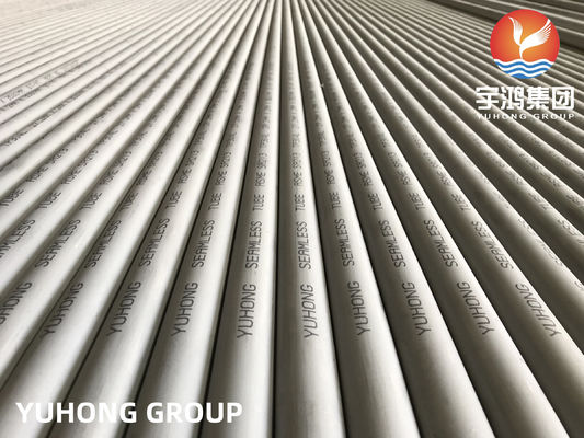 ASTM ASME SA213 TP304L Heat Exchanger Tube for Condensers and Steam Generators