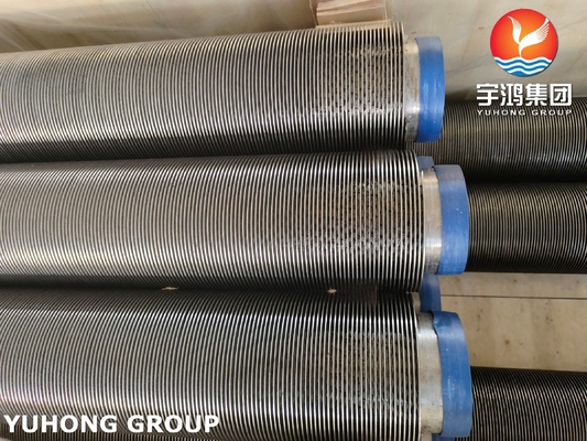 ASTM A213 TP347H HFW Finned Tubes for Heat Exchangers